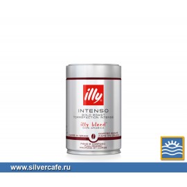Кофе Illy  Intenso blend зерно